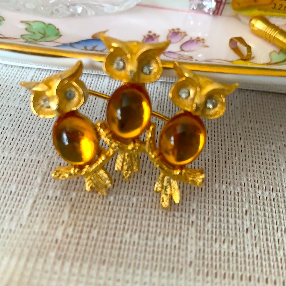✅Firm Sale Price✅Owl  Family Brooch